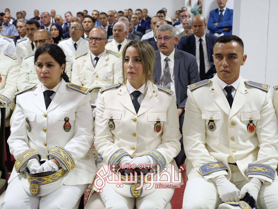 P1193991