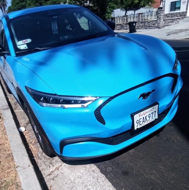 [Image: IMG-20240928-134729-2.jpg]