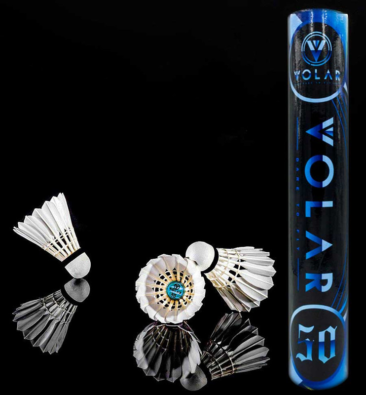 94523C0A-C200-48CE-9A05-4E11590A1DF8