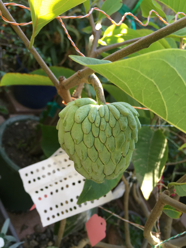 686FAC1C-B123-4CC4-AA49-534A99717FCF