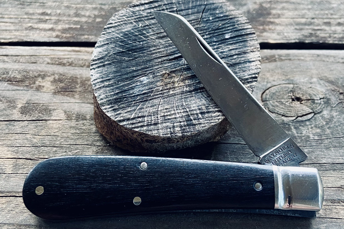 C1310419-81A8-4141-A72B-CACBEF43FC26_1_201_a