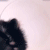https://i.postimg.cc/jqgC4KmC/image.gif