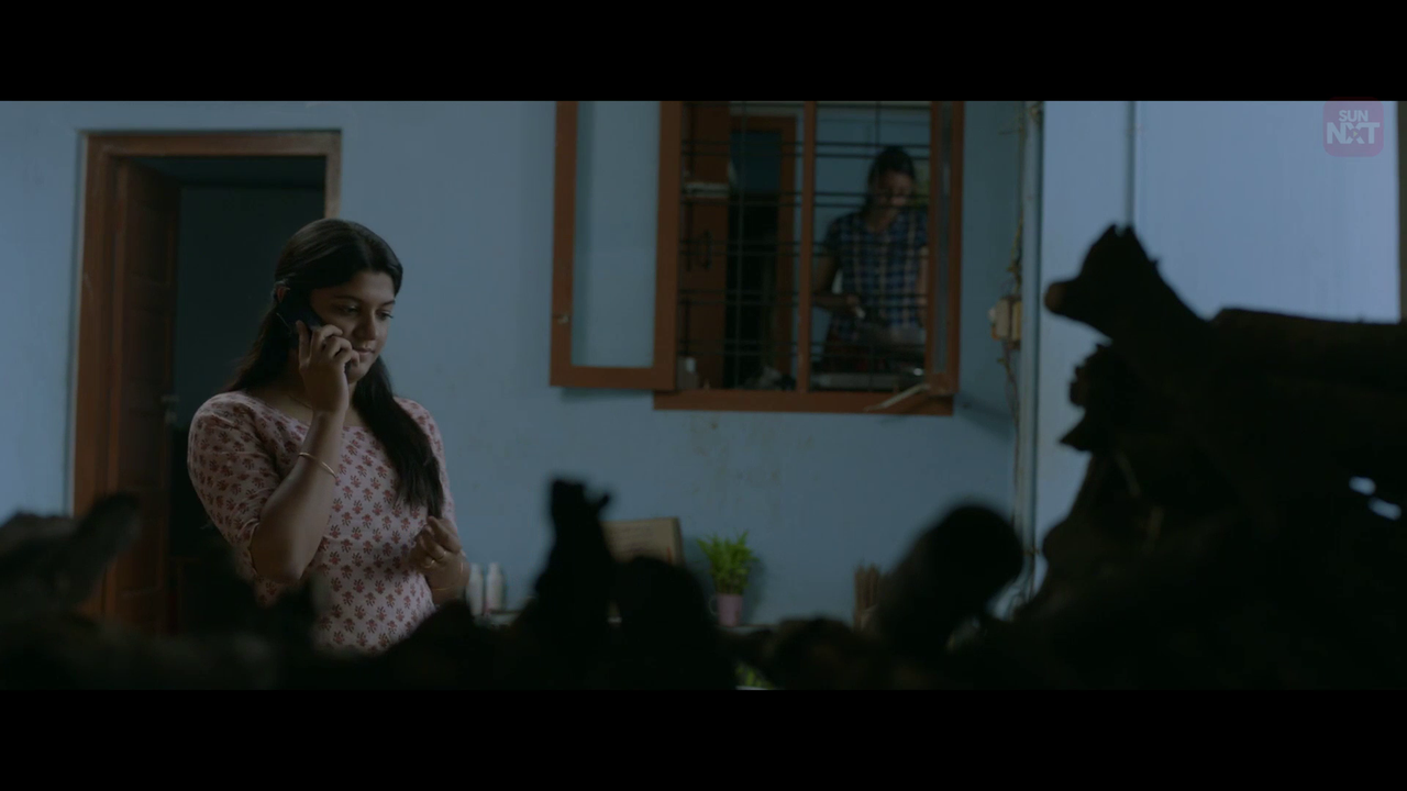 vlcsnap 2026 02 11 15h51m40s957