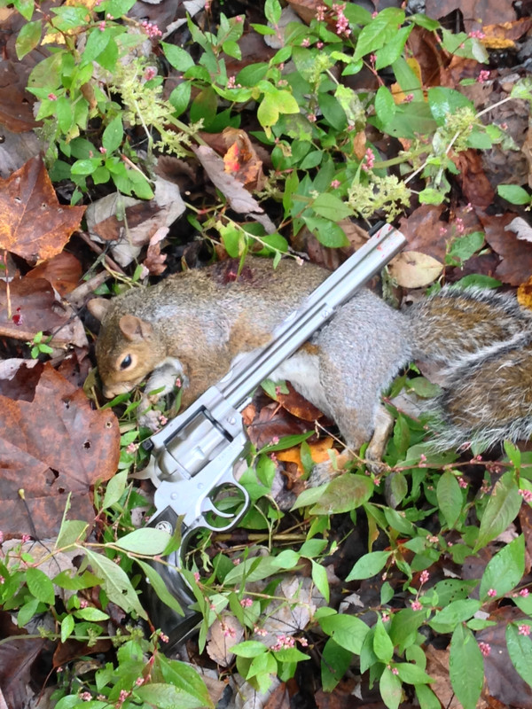 46B1CB44-6A53-414B-B4CD-54A2C24B042A