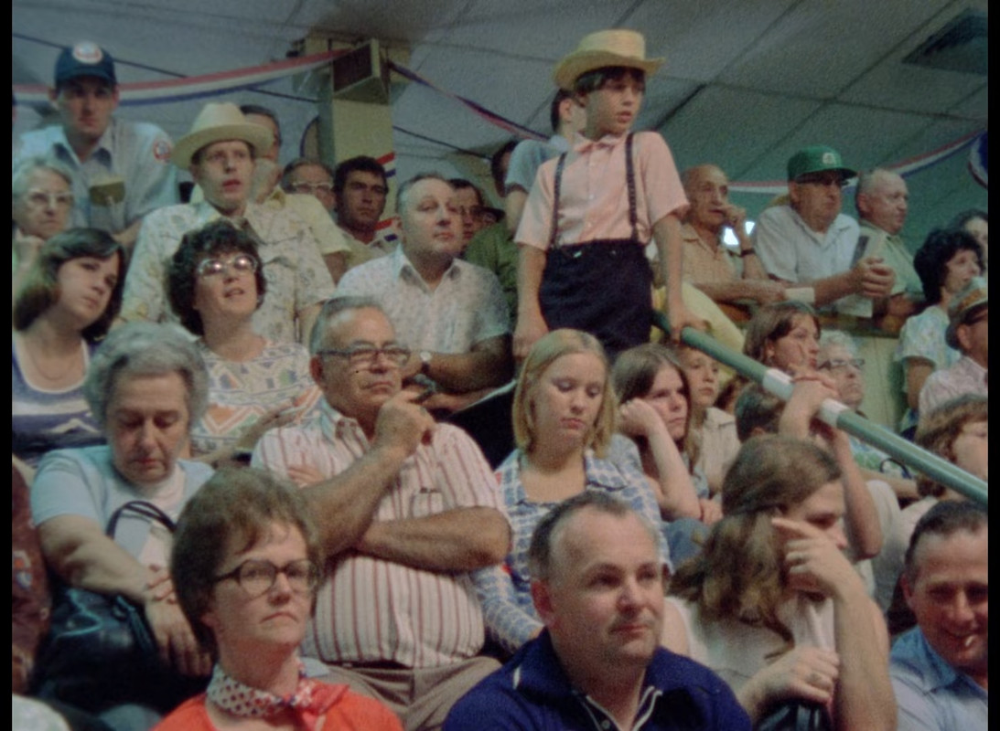 How Much Wood Would a Woodchuck Chuck 1976 (1080