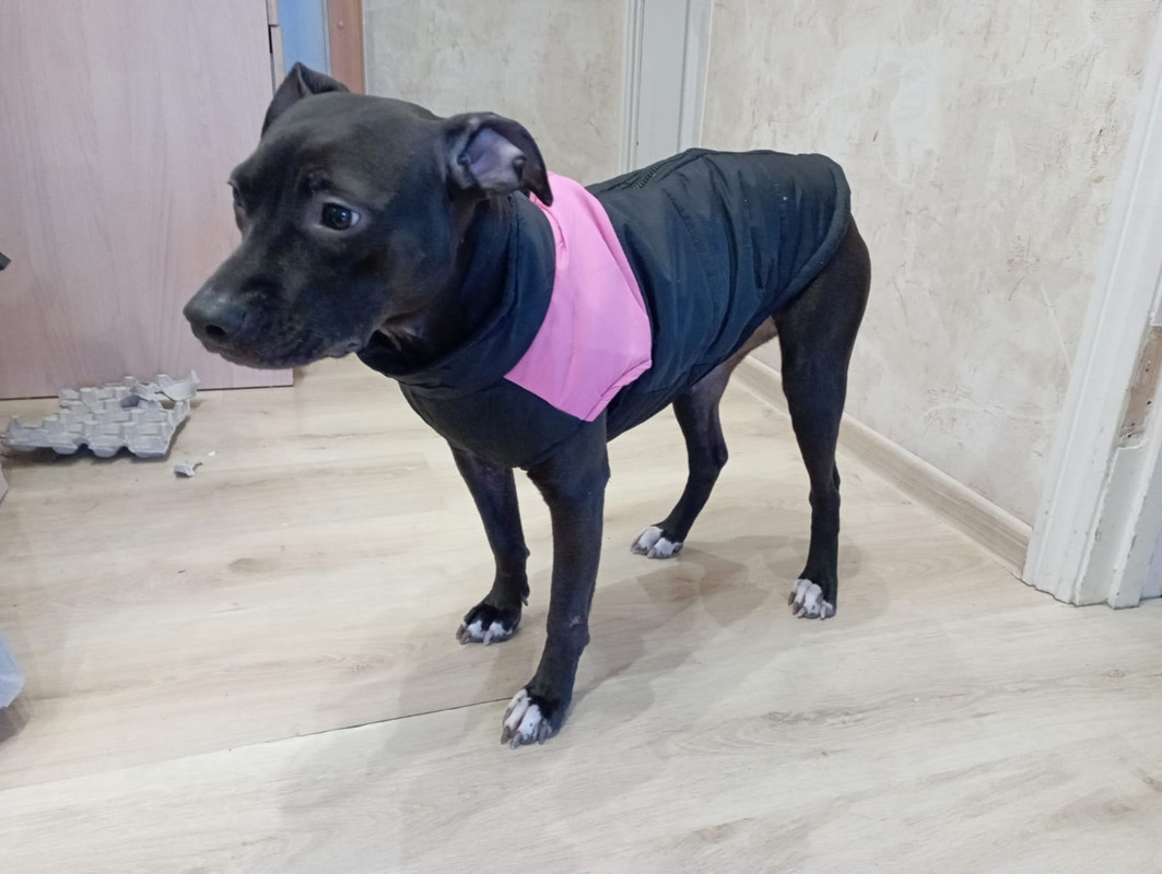 911F3A8B-27F2-4220-9516-B7AFF4CACDEE