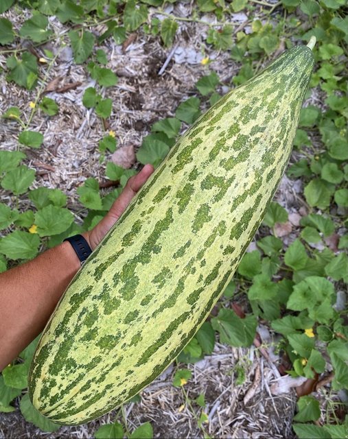 63F7A184-0DCD-4A99-BDEF-089D59280C8E