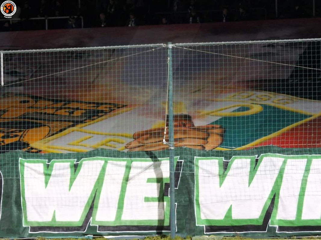 FB_IMG_1669759374333