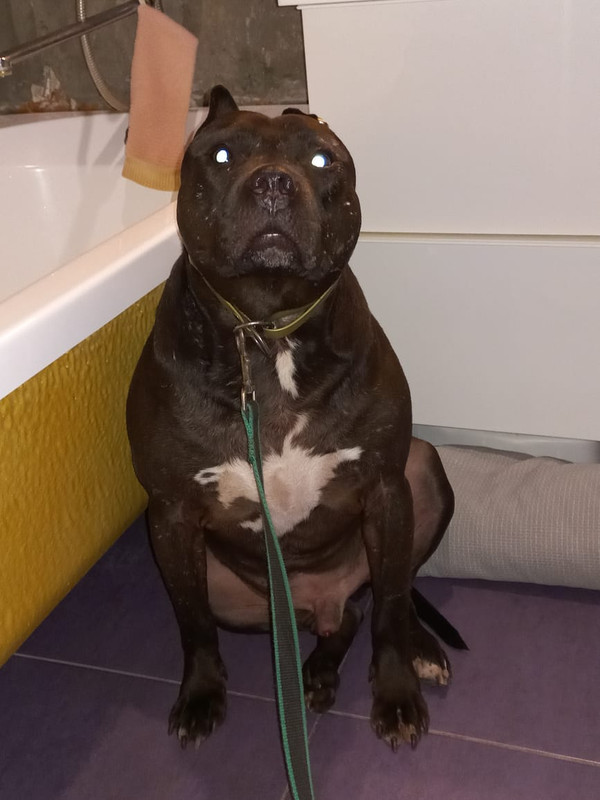 5FD17AFE-BDB9-406F-819C-68619BCB3931