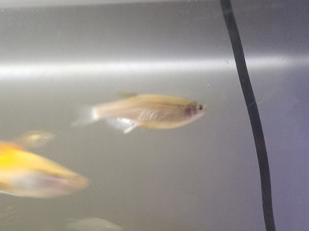 IMG_20240512_175227_499