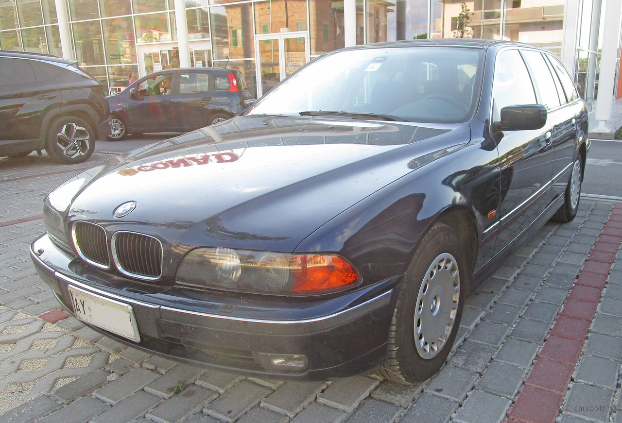 IMG-8724.jpg