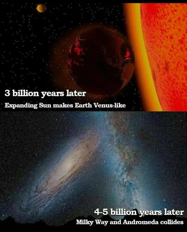 dddd (1)