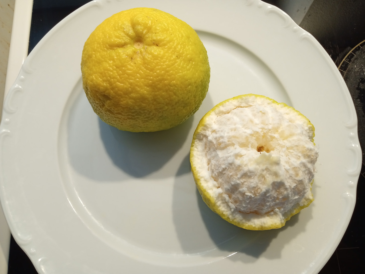 IMG 20260102 122532781 MFNR