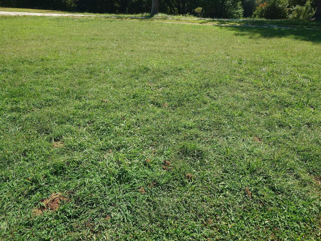 20250827-114009.jpg
