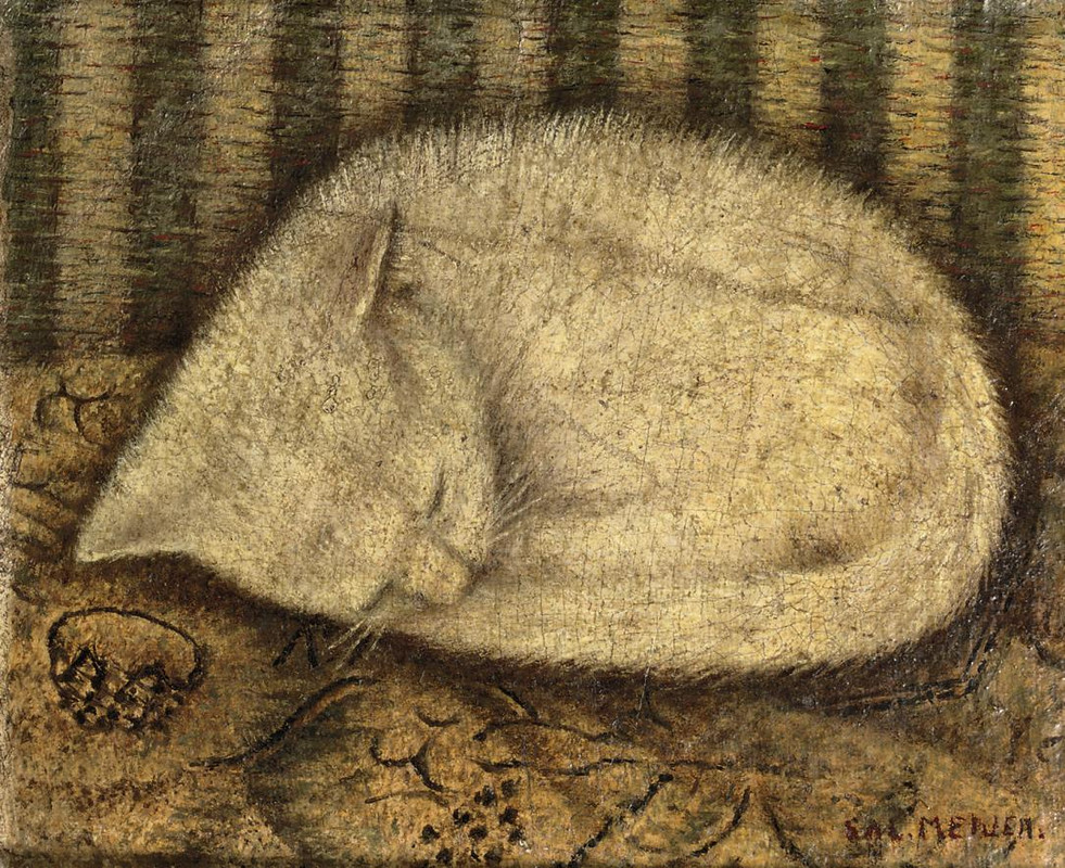 10-2010-AMS-02843-0121-000-sal-meijer-white-cat061724