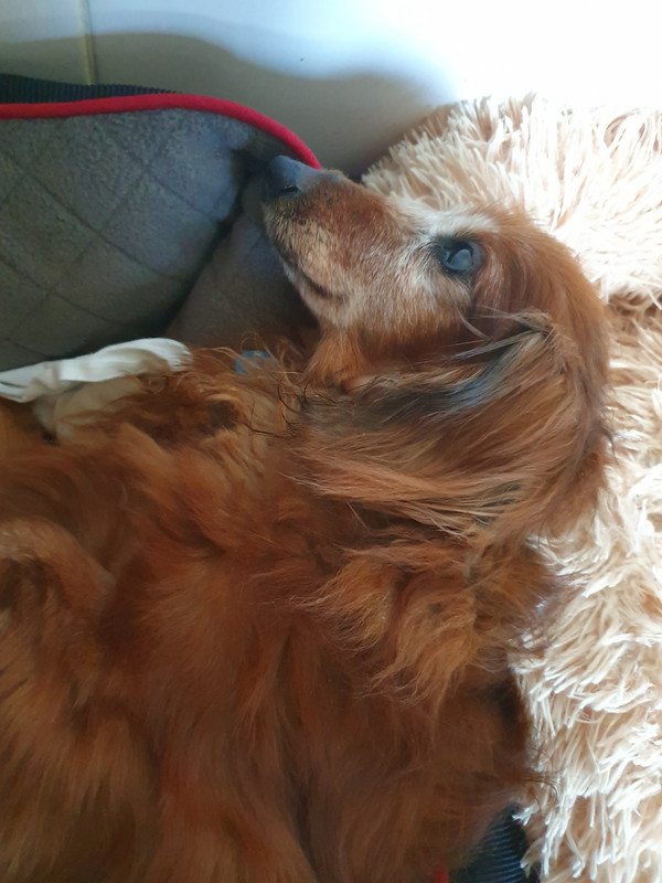 [Image: 20220509-160912.jpg]