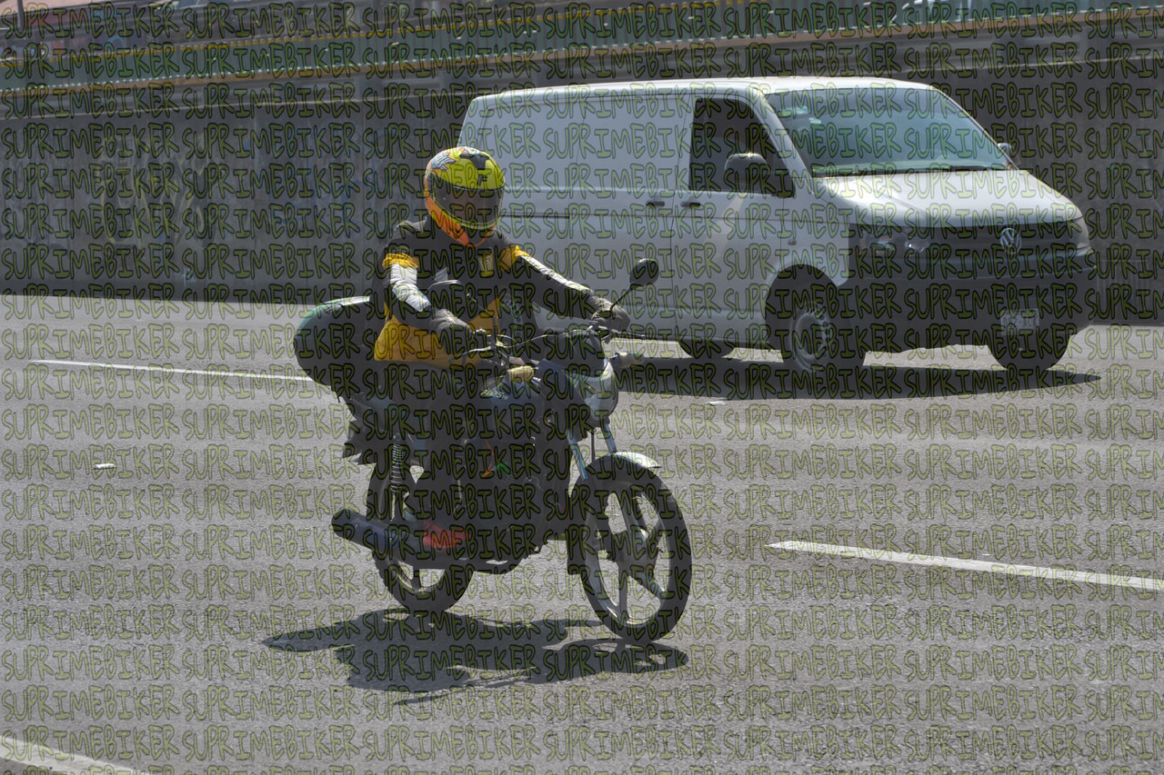 DSC 0210