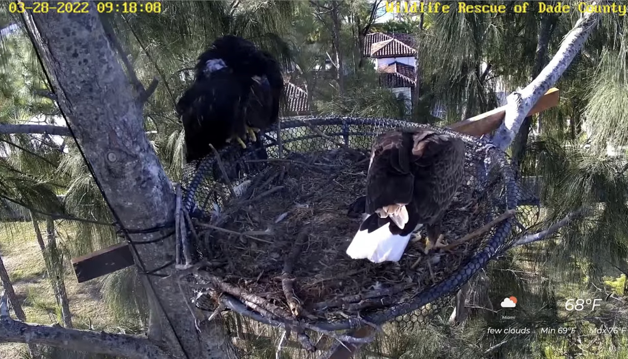 9D0654FE-B3A7-4FAE-9ECB-C225D6038239