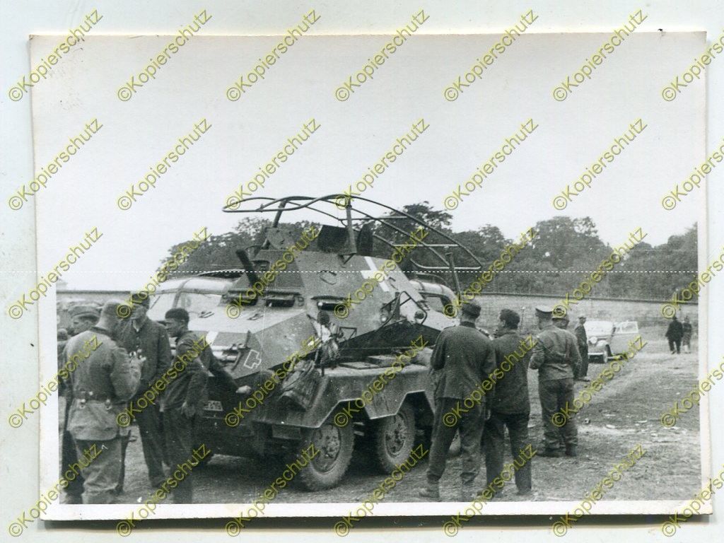 Foto, Gebirgs-Panzerjäger-Abteilung 44, Begegnung mit Sdkfz.234,
