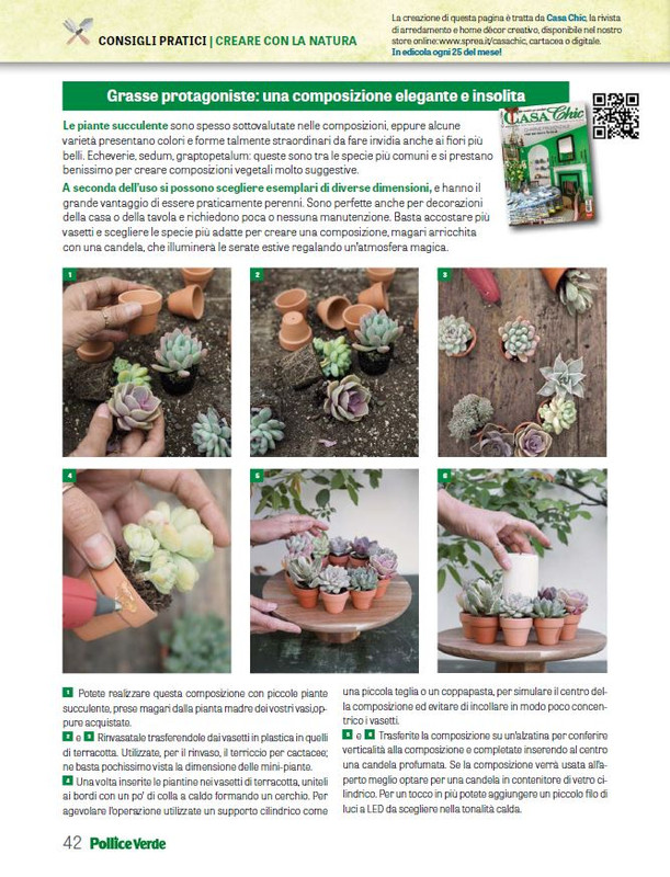 Pol Ver Giu 2025 (7)