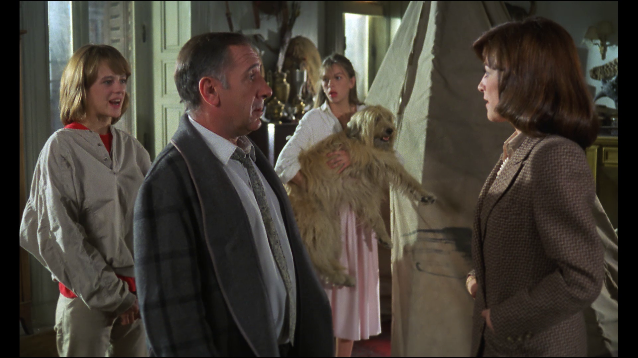 vlcsnap-2017-07-28-14h11m49s137