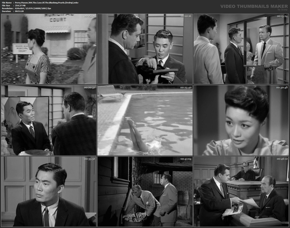 Perry.Mason.304.The.Case.Of.The.Blushing.Pearls.(Dvdrip).mkv