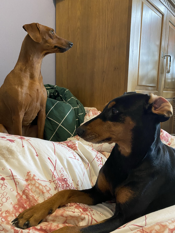 D120EDC5-3A2B-4BEC-830E-96391D9DC308