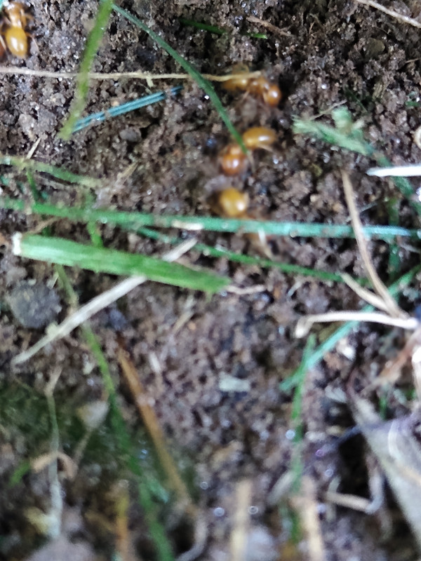 IMG_20210806_151736358