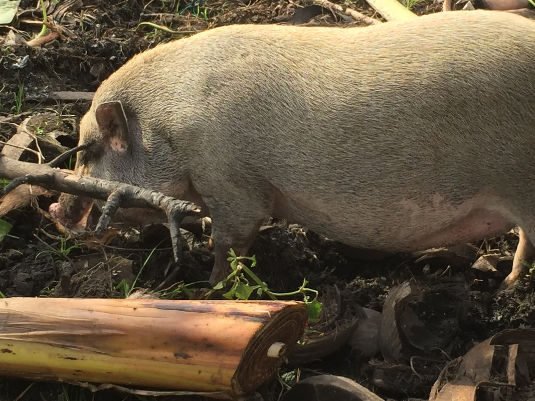 6A157088-E949-451C-9FC6-3BA1E2468790