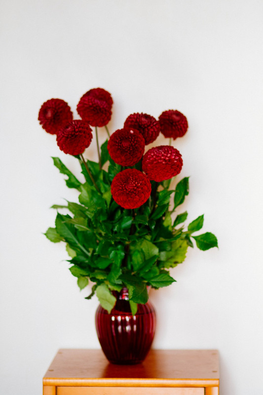 flowersredpopmpom.jpg
