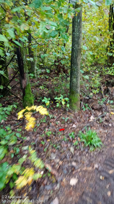 IMG_20251011_182615_464