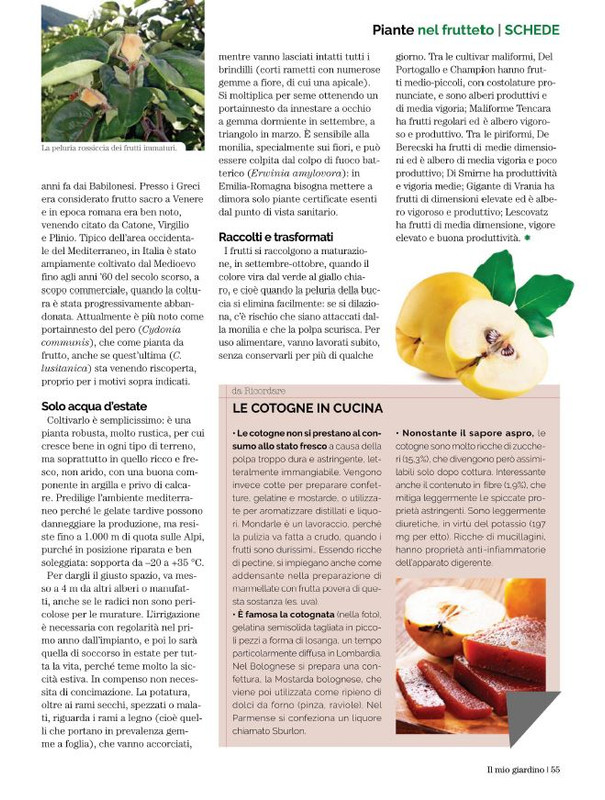 Il Mio Giar Ott-Nov 2022 (10)