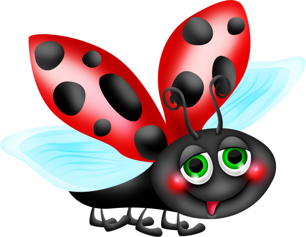Beetle dance38