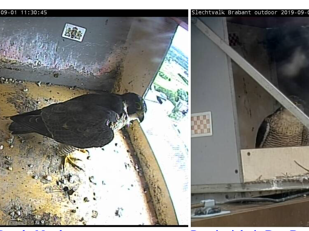 CDA7C574-5E2C-4082-94D5-80BF7A460B8A