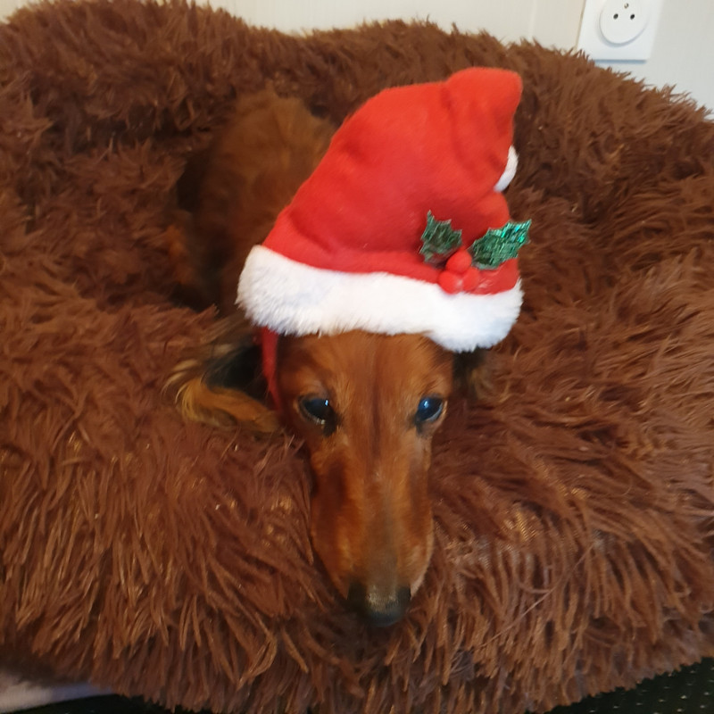 [Image: 20211204-110534.jpg]