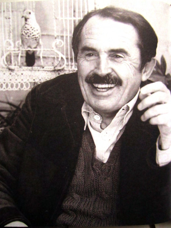 Тонино Гуэрра Уйти как прийти_page-0054