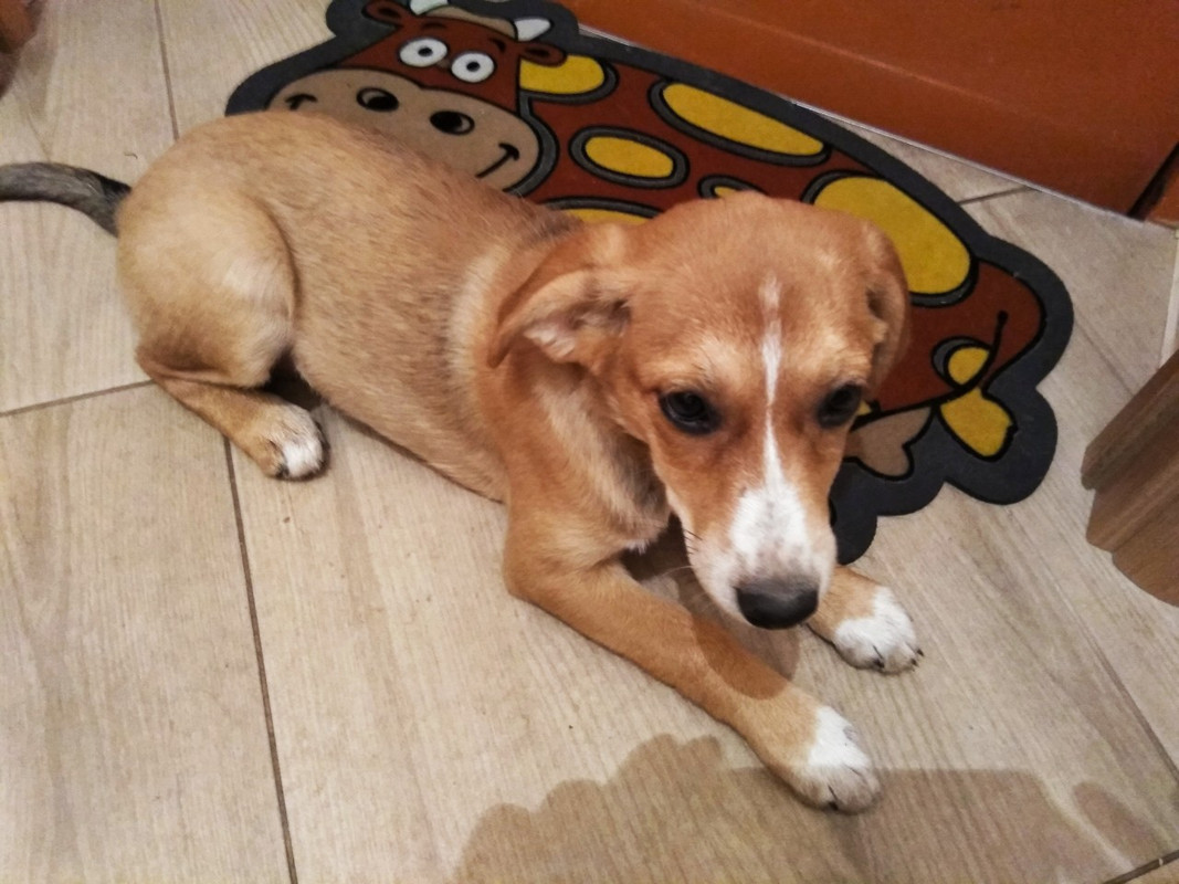 изображение_viber_2019-09-21_18-19-20