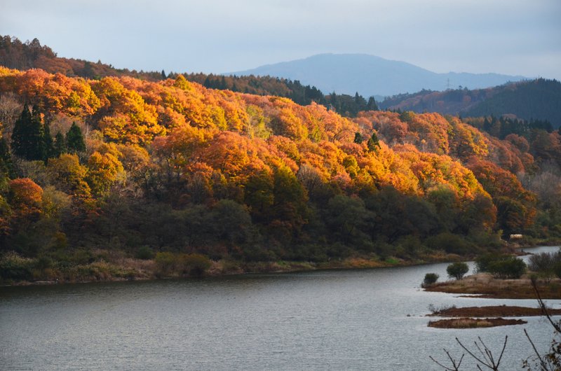 Ruta Nacional 158 Nogi Kaido-14-11-2024 - Japón y sus Pueblos-2024 (33)