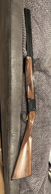 97AE6FCF-9E88-4EA6-BAE5-0462BF9CA921