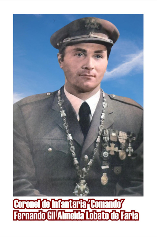 Fernando Gil Almeida Lobato de Faria_920