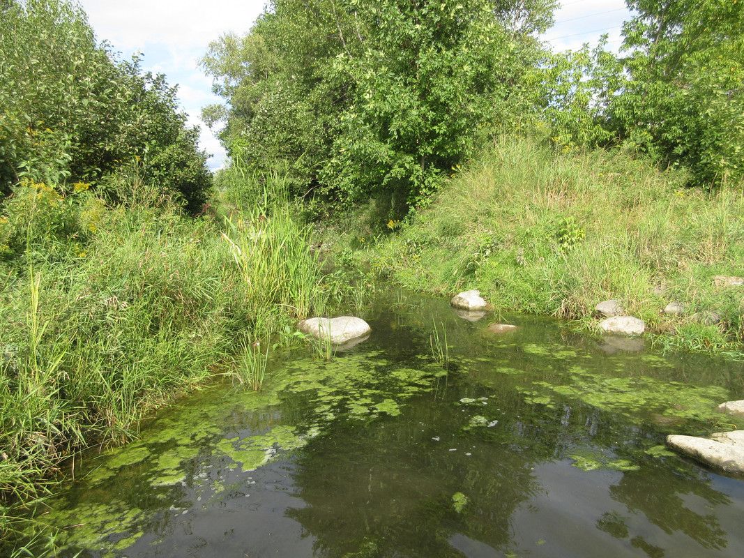 2018DR-Fin du ruisseau