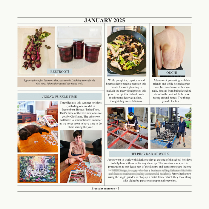 January-2025-3a.jpg