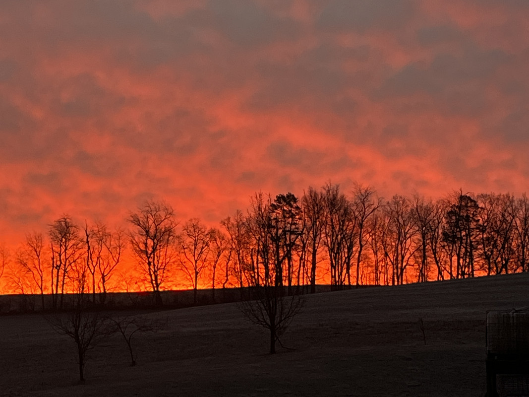 DFB0D8AD-5B33-4543-B2B6-65B4D67C2099
