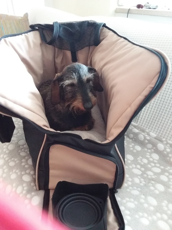 [Image: 20241121-090025.jpg]