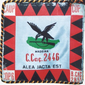 CCac2446
