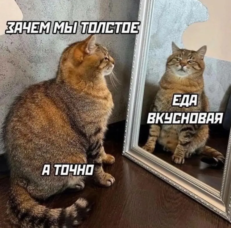 spacer.png