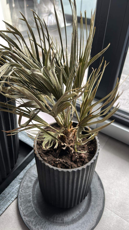 D98333C7-4DCD-45FE-BB49-39D3110D493A