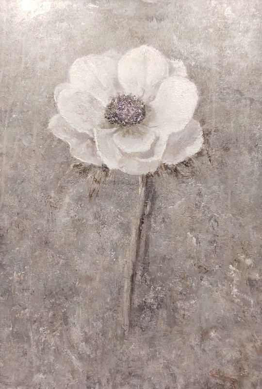 https://i.postimg.cc/jqpf2Rm0/101-IMG-20240918-144342.jpg