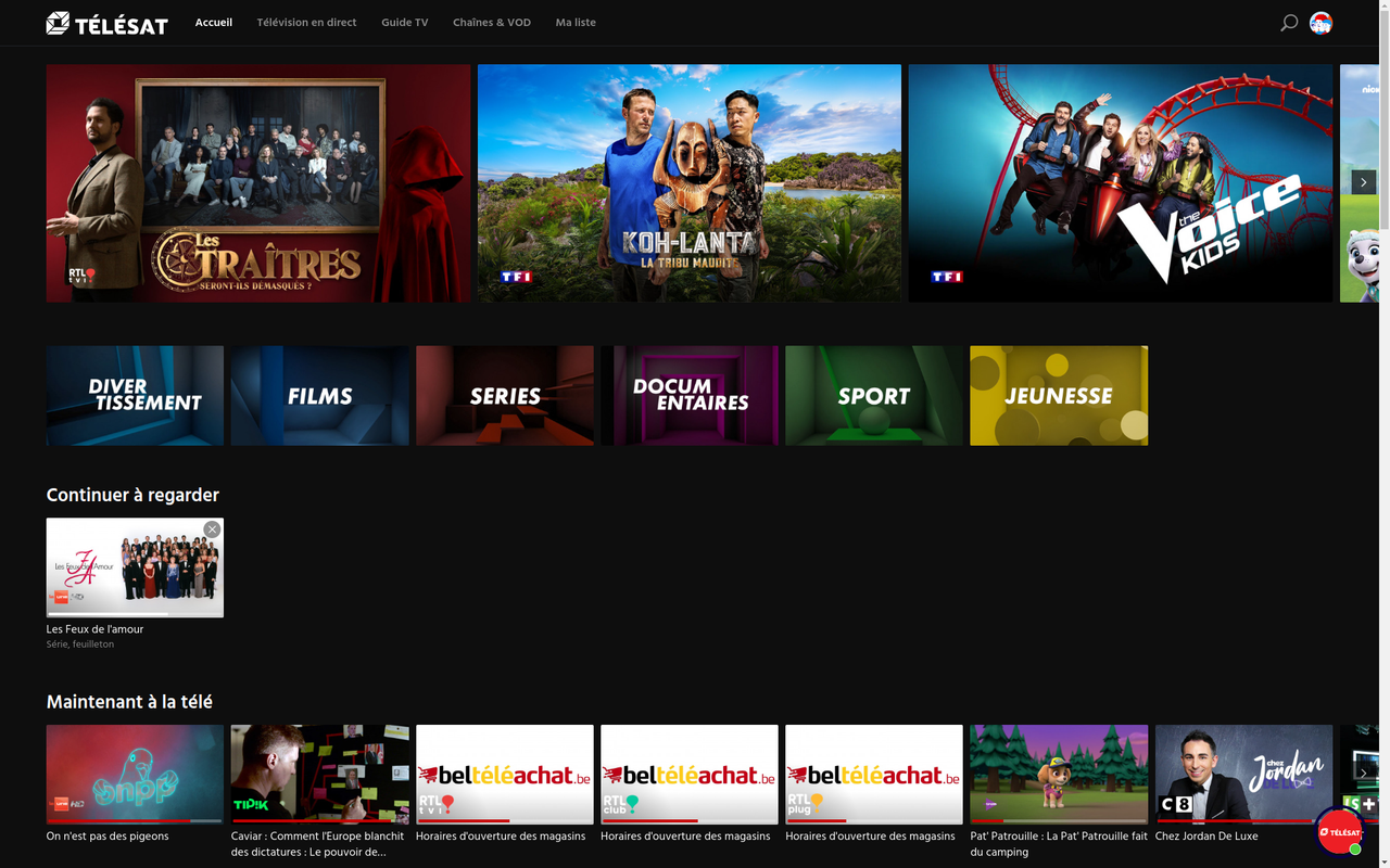 Capture ćran telesat programmes