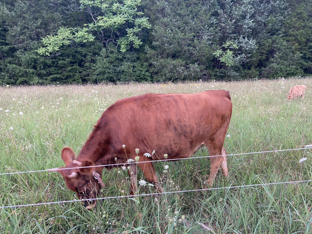 759ADB3C-684A-4447-99F6-33BAE28C10D9